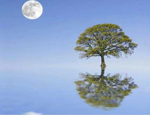 This Meditation Cools Down Summer Stress