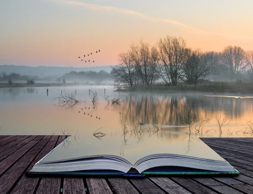 Affirmations for Confidence, Purpose, and Wisdom